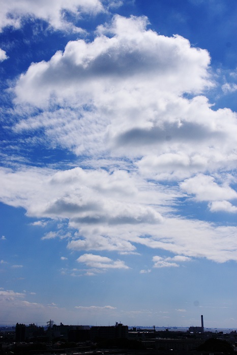 b0268615_7412555.jpg
