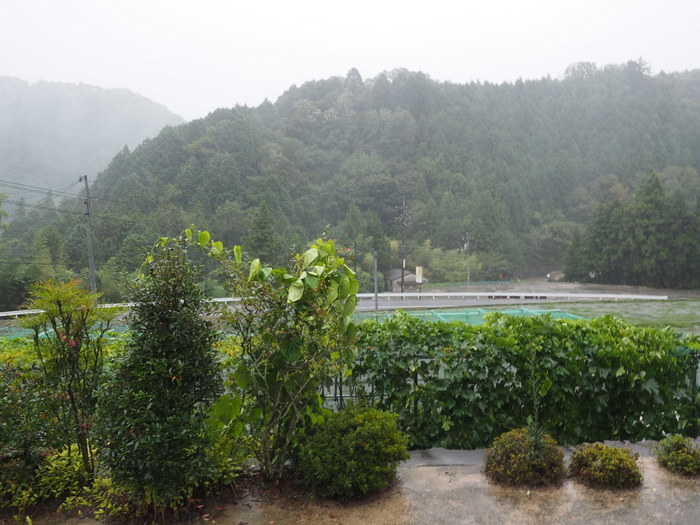 雨の日、午後、台風の影響_c0116915_22363047.jpg