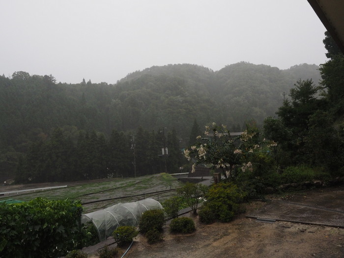 雨の日、午後、台風の影響_c0116915_22363968.jpg