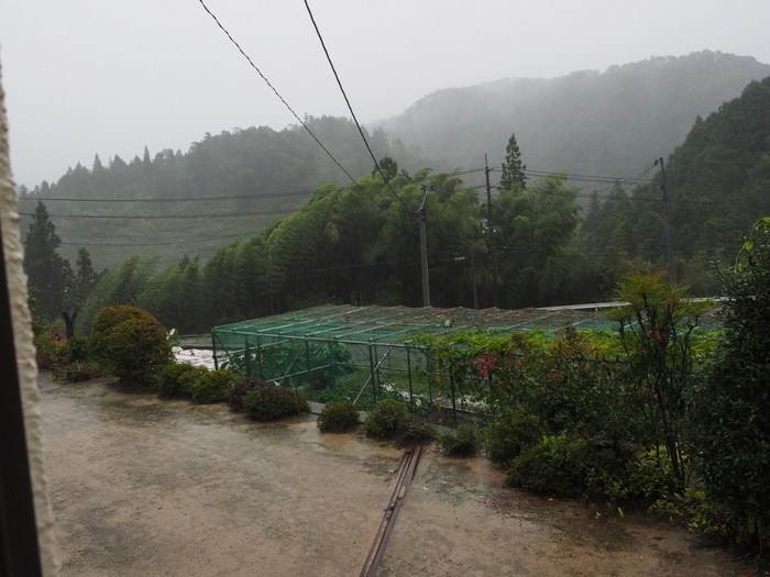 雨の日、午後、台風の影響_c0116915_22364994.jpg