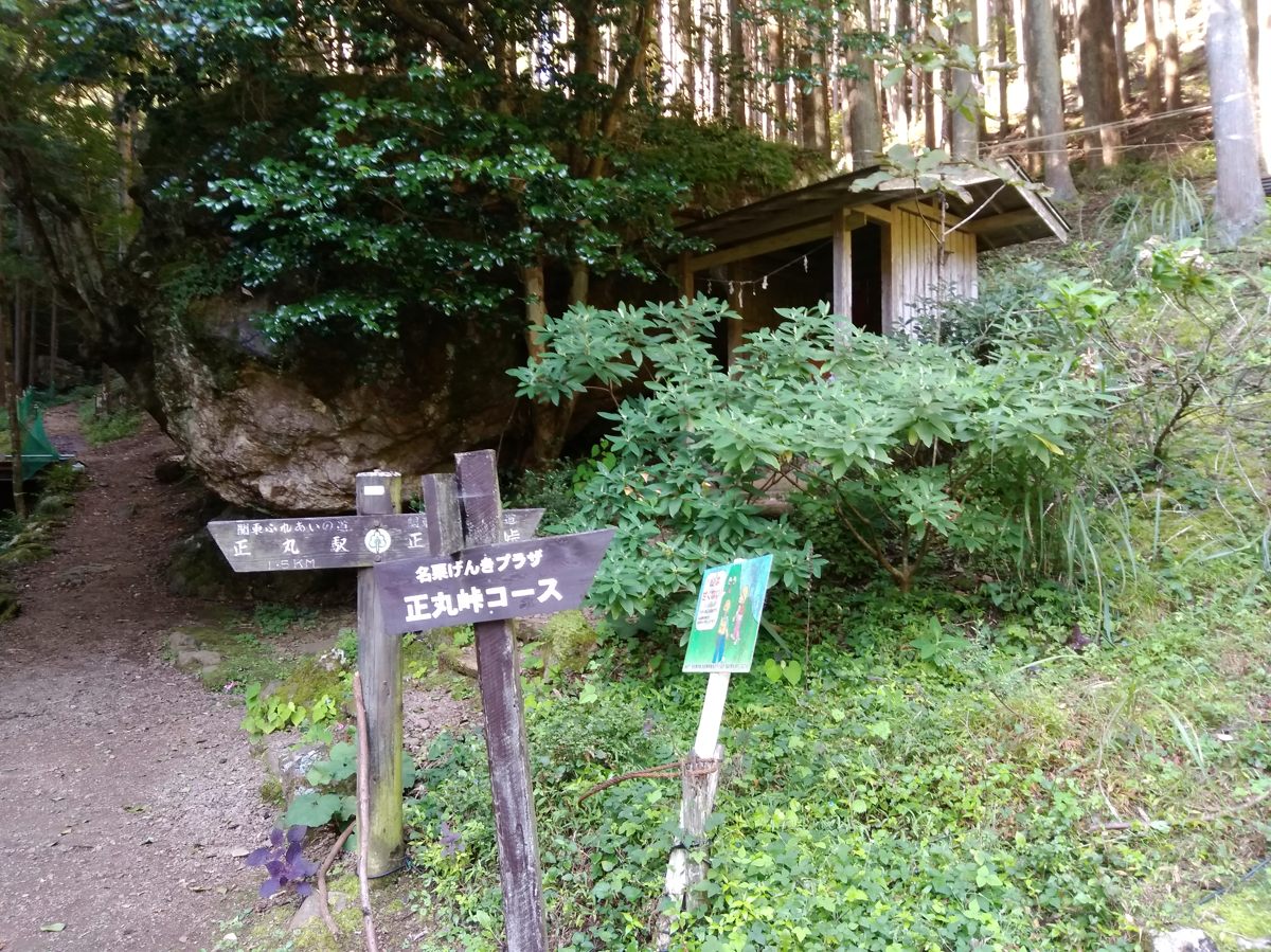 伊豆ガ岳 旧正丸峠 弁当持参 伊豆ガ岳 旧正丸峠 弁当持参
