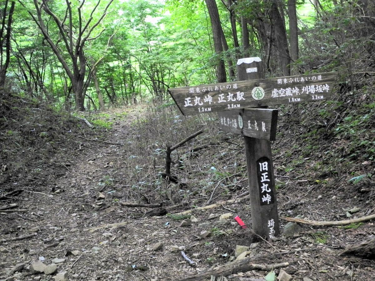 伊豆ガ岳 旧正丸峠 弁当持参 伊豆ガ岳 旧正丸峠 弁当持参