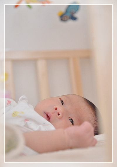 d0179828_12003514.png