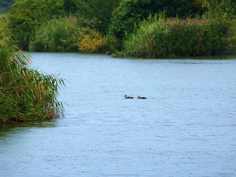 d0367529_09193553.jpg