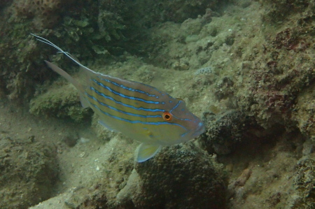 17.9.17 金武湾ビーチで_b0100730_20240713.jpg