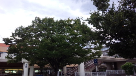 f0142733_18144686.jpg