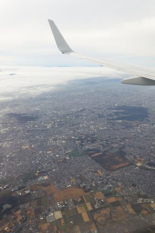 b0042334_17423917.jpg