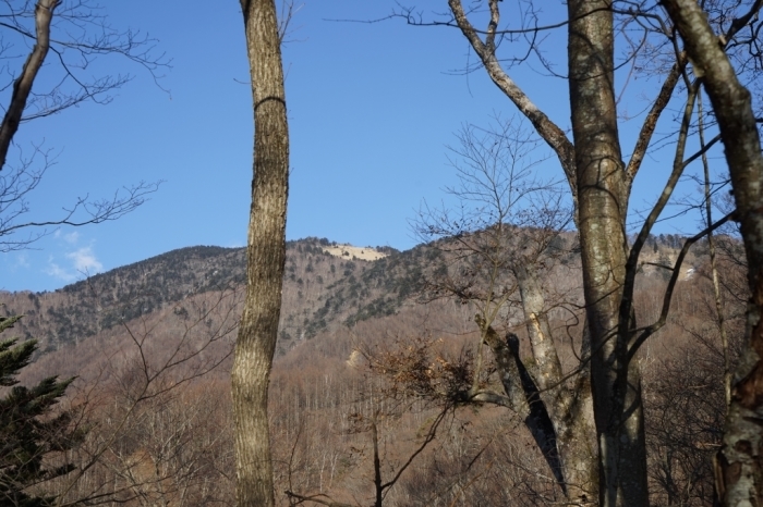 たくさん笑った普通の登山＠大菩薩嶺　2017.02.25(土)_f0344554_19352446.jpg