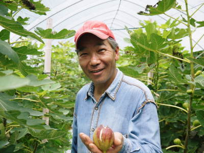 甘熟いちじく大好評販売中!『いちじく』は、食欲の秋に消化促進、二日酔い防止効果があると言われ健康食材ですよ!_a0254656_18252878.jpg