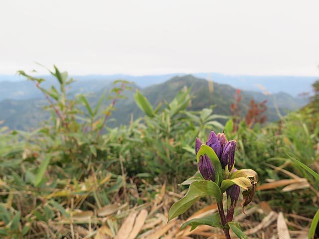 2017年9月16日　大笠山（1,822m・富山県南砺市）_c0116856_15374067.jpg