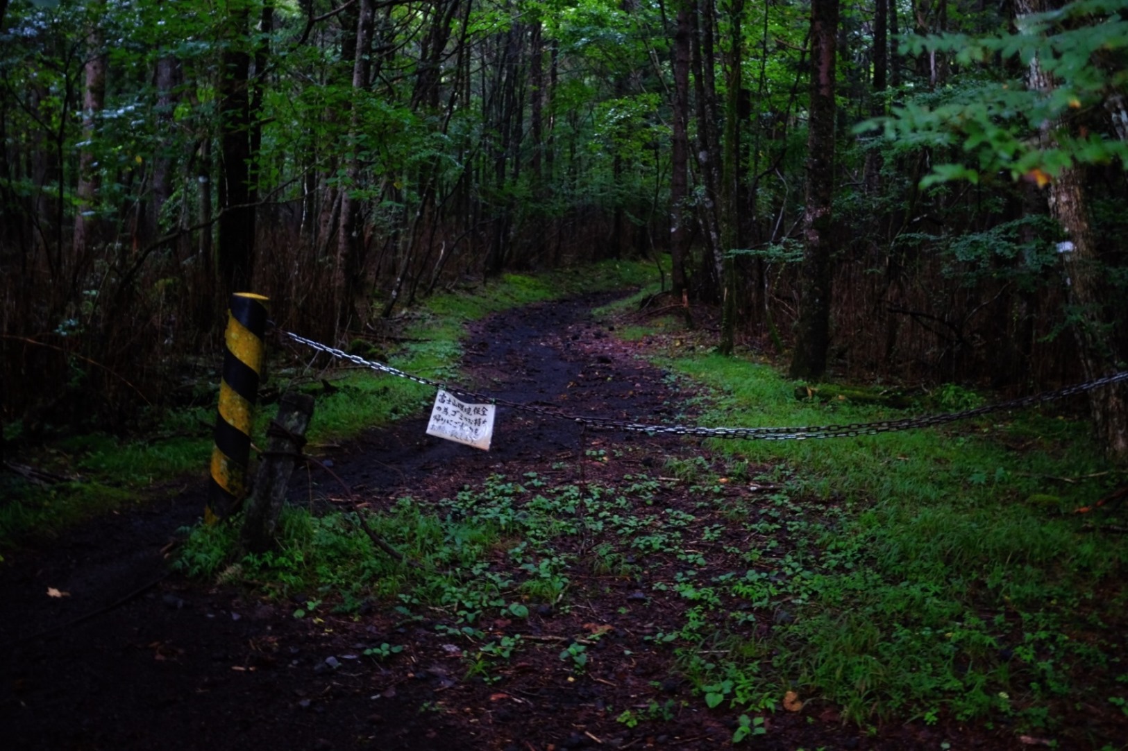 d0233770_05158.jpg