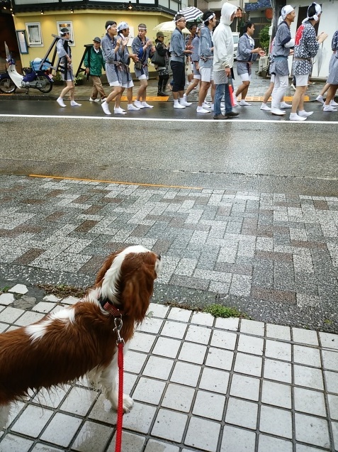 お祭り_e0367571_17090280.jpg