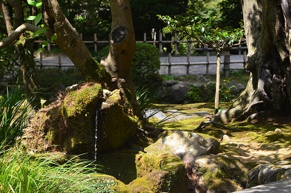 c0229483_0474728.jpg