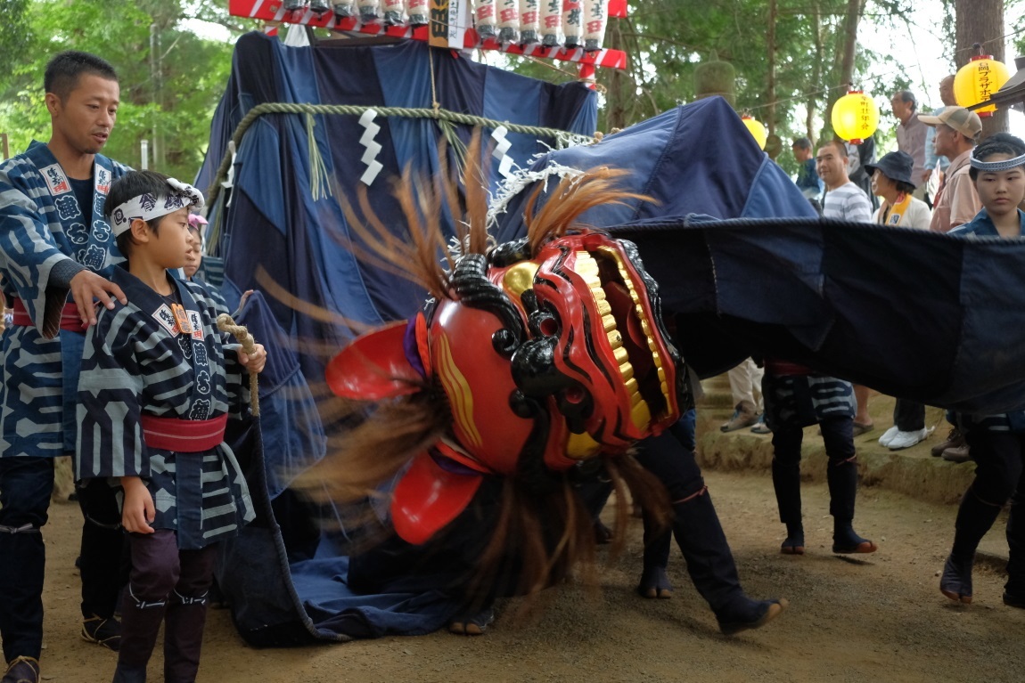 ２０１７年　石岡の祭り　＜２＞　幌獅子　９月１６日_e0143883_04031970.jpg