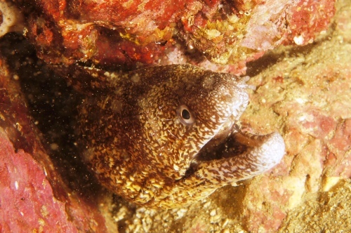c0368903_23490159.jpg