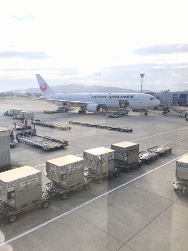 JL128 ITM-HND_f0302805_22015535.jpg