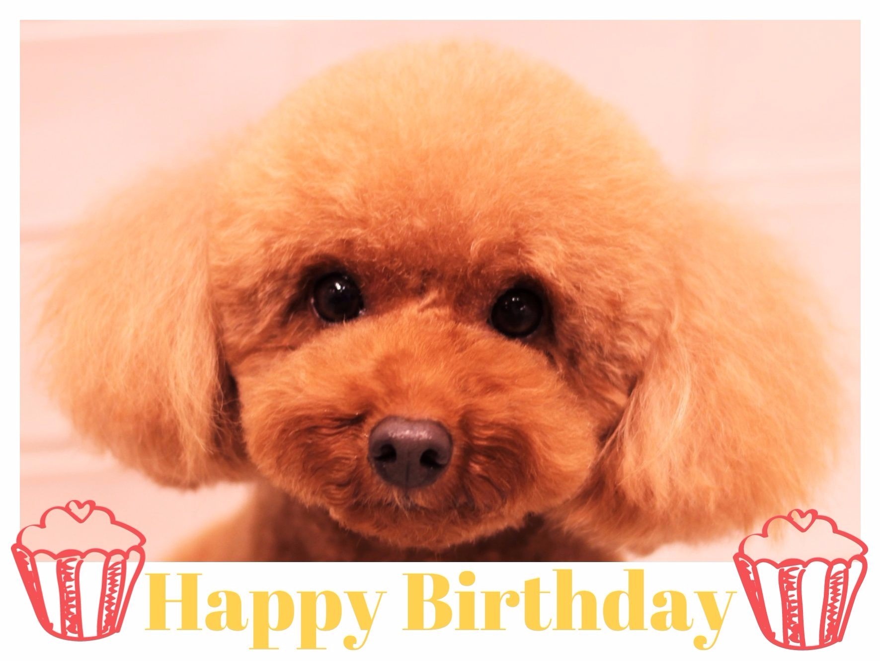 Happy Birthday ♡ マリンちゃん_d0060413_10125429.jpg