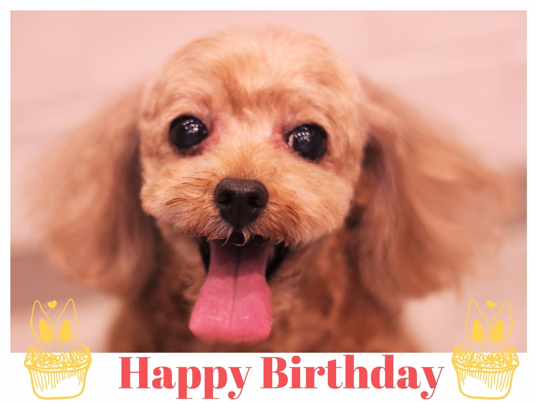 Happy Birthday ♡ クララちゃん_d0060413_10471175.jpg