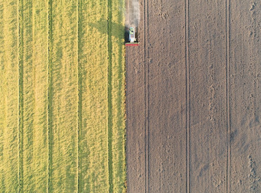 b0150018_10421324.png