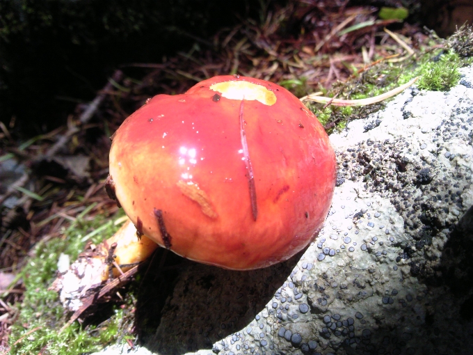 b0069126_157167.jpg