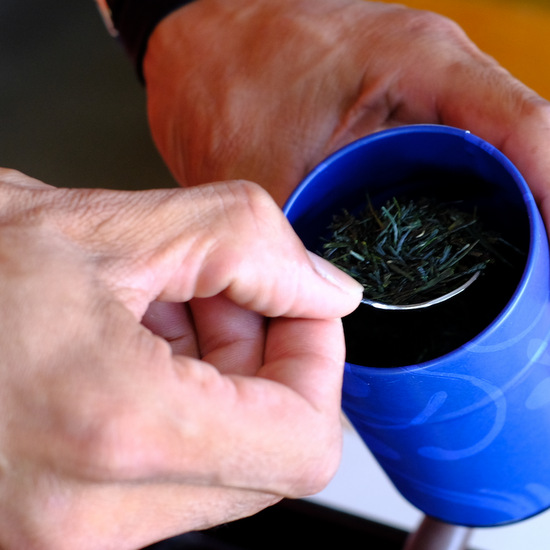 「宮崎・都城 大石製茶の茶畑」_a0000029_9263578.jpg