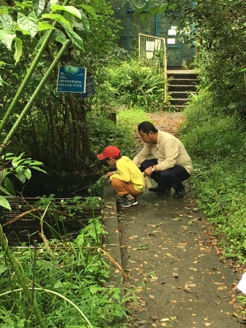 f0177529_19021564.jpeg