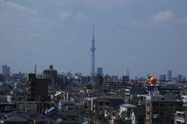 f0229832_08371008.jpg