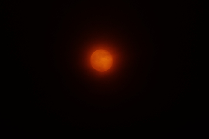 d0185744_10192855.jpg