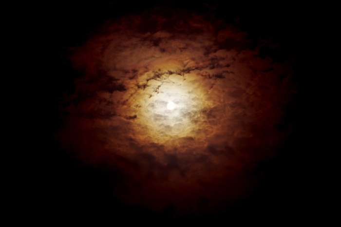 d0185744_10450904.jpg