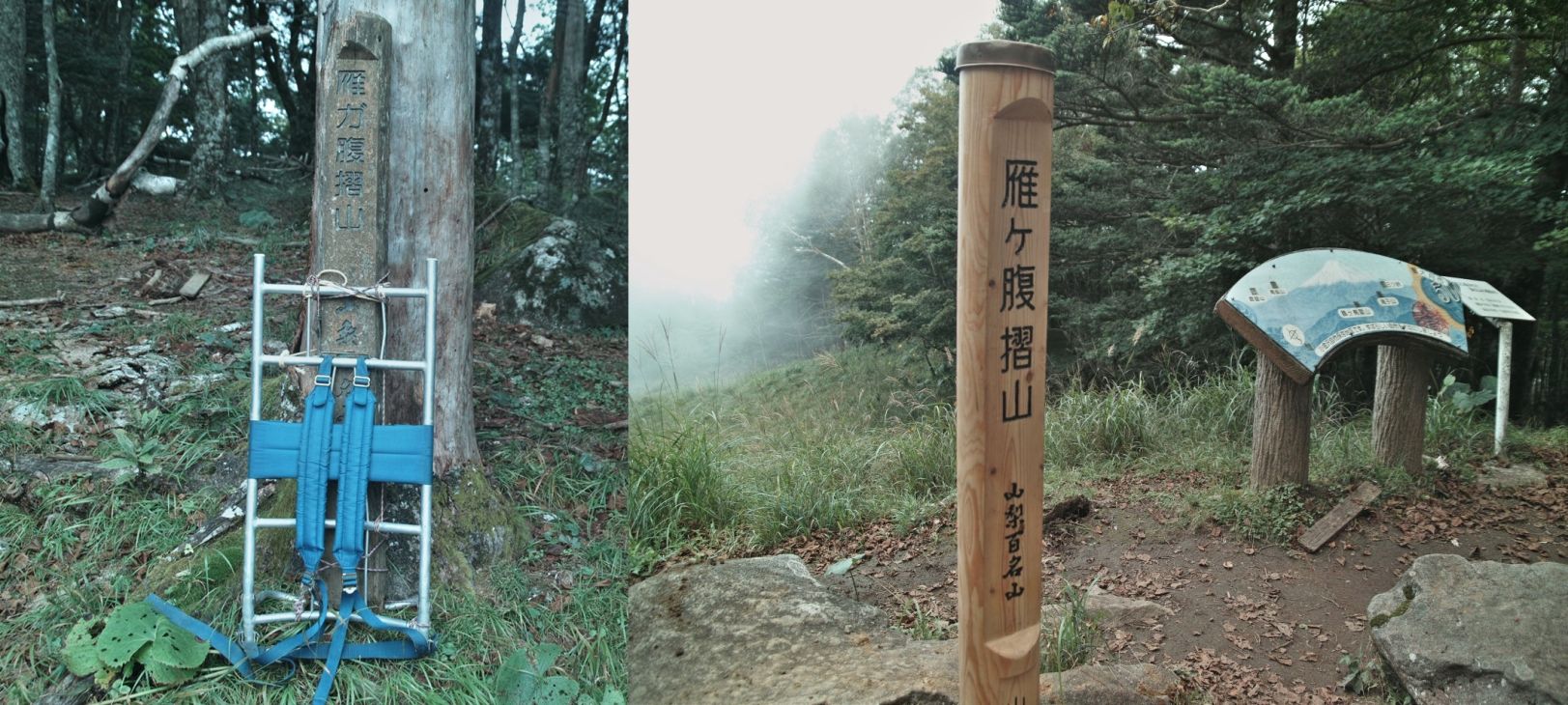 キノコの先生と歩く・シオジの森～雁ヶ腹摺山_c0008948_13174286.jpg