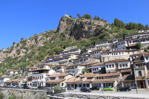 c0011649_07462624.jpg