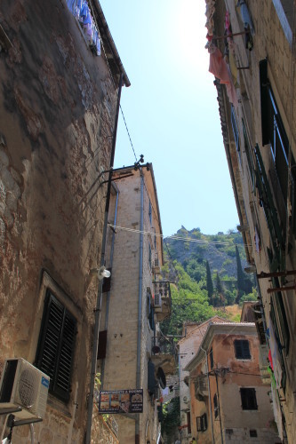 c0011649_12351443.jpg