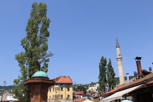 c0011649_21195056.jpg