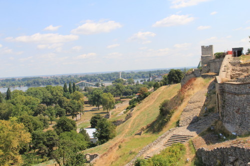 c0011649_23541211.jpg