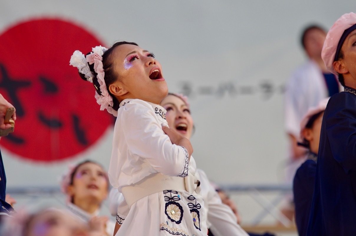 ２０１７高知よさこい祭り全国大会&後夜祭その３４（舞龍人その２）_a0009554_10174535.jpg