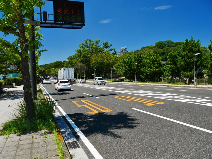 　　和歌山だより_b0093754_20391719.jpg