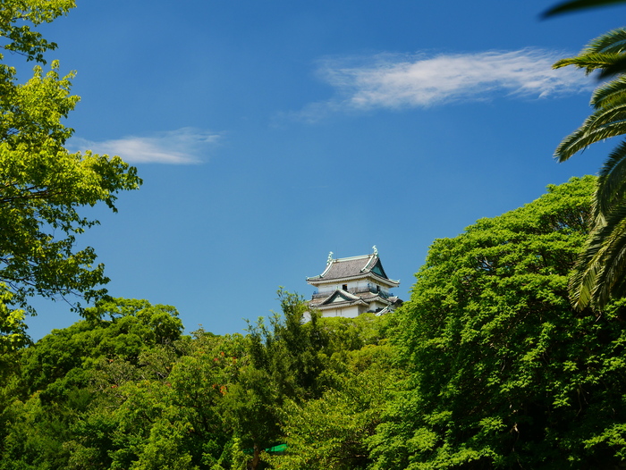 　　和歌山だより_b0093754_20393058.jpg