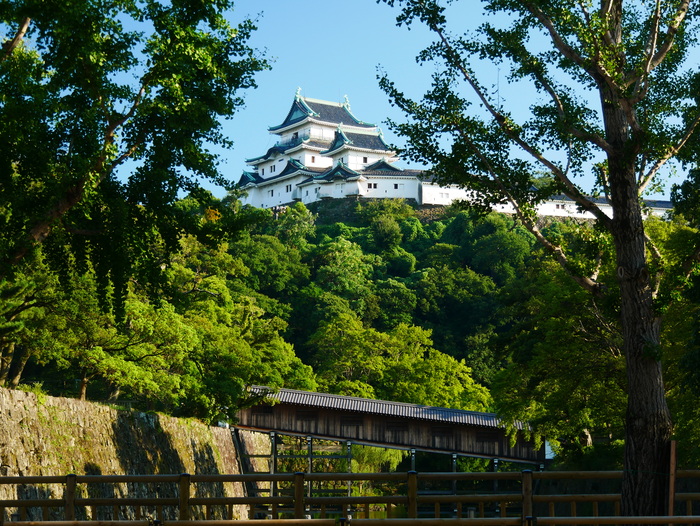 　　和歌山だより_b0093754_20394416.jpg
