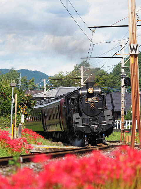 f0199866_20005716.jpg