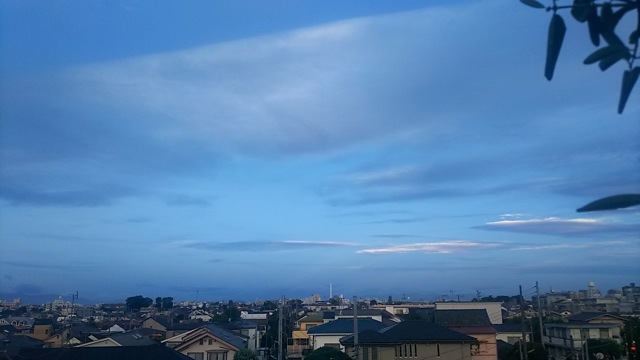 クジラ降る夜のこと(台風通過中の夜中...ふと思いだしたこと)_d0244370_05452972.jpg
