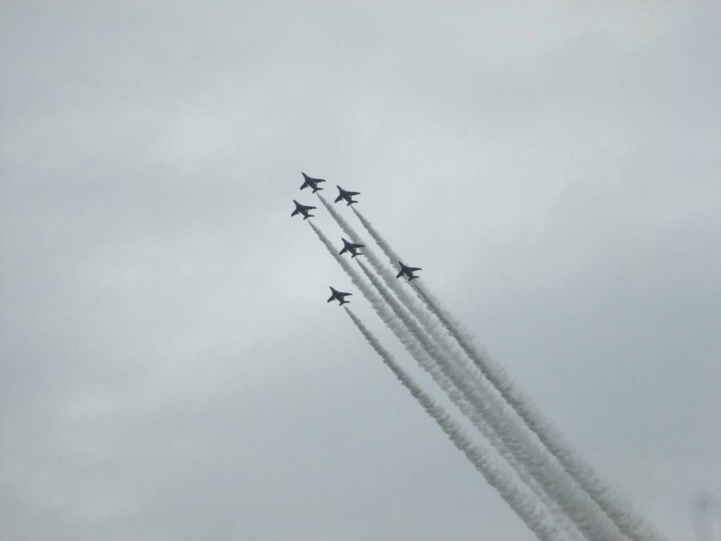 a0061973_08485198.jpg