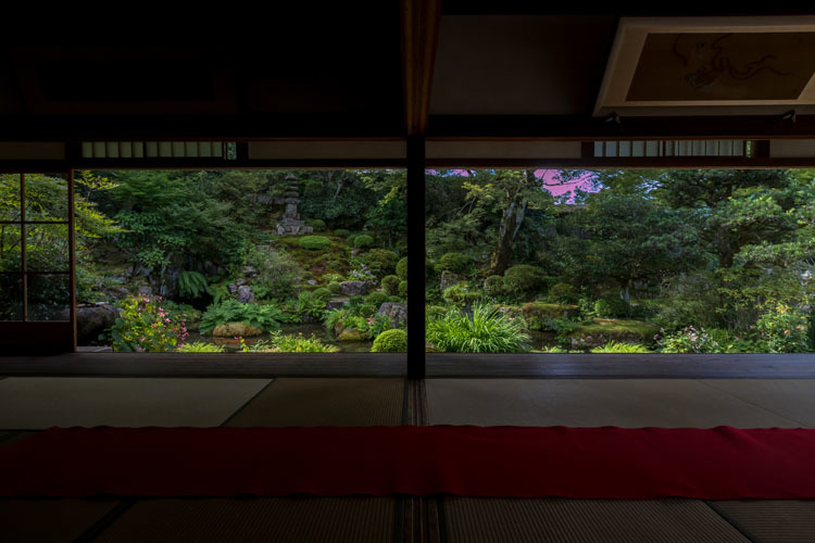 実光院_e0051888_23381923.jpg