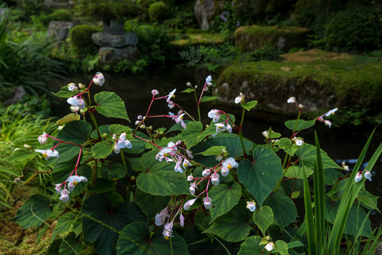 実光院_e0051888_23381964.jpg