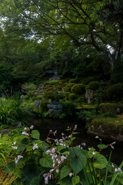 実光院_e0051888_23392846.jpg