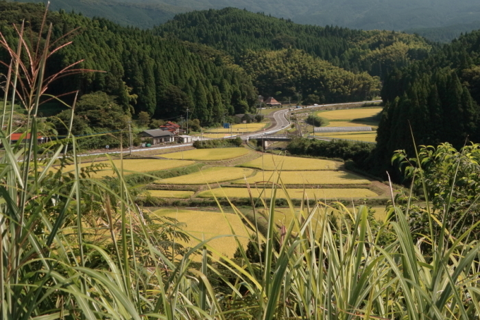 17.09.09：彼岸花には早過ぎた脊振の山村を巡る１_c0007190_17495711.jpg