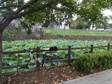 c0187298_20524145.jpg