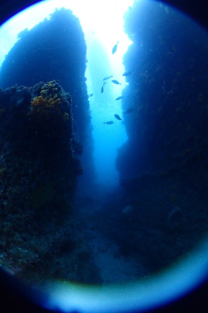 e0115199_14072045.jpg
