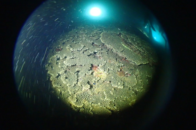 e0115199_14120423.jpg