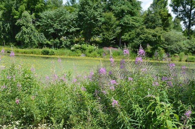 c0124100_16411589.jpg
