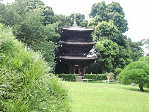 椿山荘の庭で涼む （Giardino di Hotel Chinzanso）_d0006400_1293417.jpg